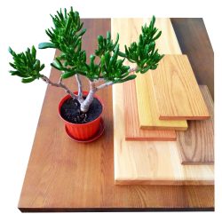 сайт-белый-стол-scaled[1]