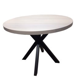 стол-круглый-Лион[1]